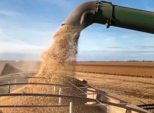 El campo insiste con eliminar las retenciones: rurales de Entre Ríos exigen al Gobierno “medidas claras”