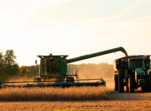 Proyectan una caída moderada en el consumo de gasoil para la campaña agrícola 2024/2025