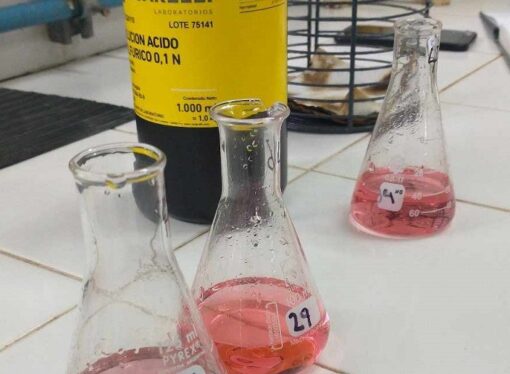 Ciencia y campo: estudian cómo convertir los residuos de la industria algodonera en una solución ambiental