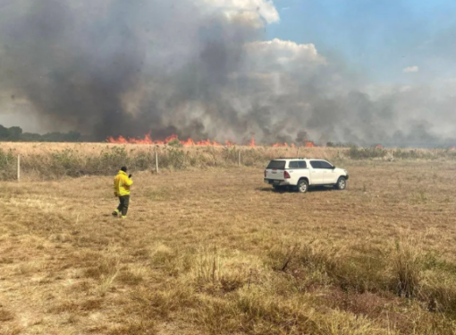 La lluvia trajo alivio a los frentes de incendios y aplacó la intensa sequía