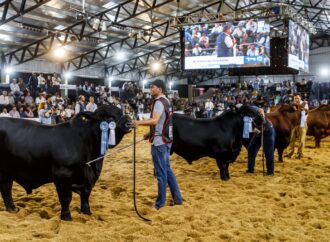 Corrientes será otra vez epicentro de lo mejor de la genética bovina y equina