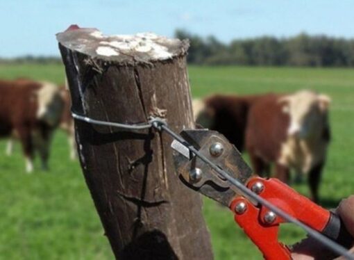 La Mesa de Enlace reclama mayor intervención de la Justicia ante el avance del delito rural