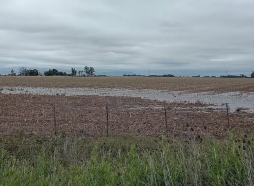 Otoño incierto: el pronóstico climático para el campo anticipa lluvias desiguales y temperaturas elevadas