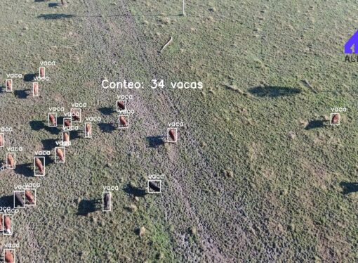 Los drones y el campo: destacan las posibilidades y beneficios para la agricultura y la ganadería