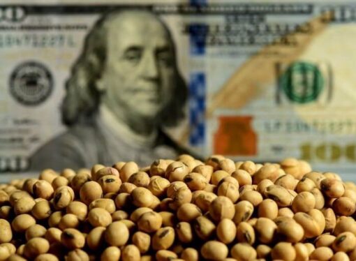 Sostén económico: el agro aportó el tercer mejor trimestre de la historia en liquidación de divisas