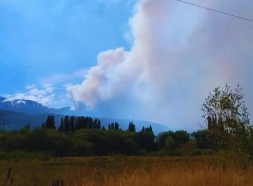 El desafío agroforestal tras los incendios: recomendaciones para preservar el suelo y la salud animal