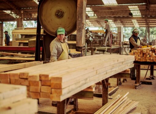 Golpe al corazón de la industria maderera: el sector opera a menos del 50% y alerta por cierres