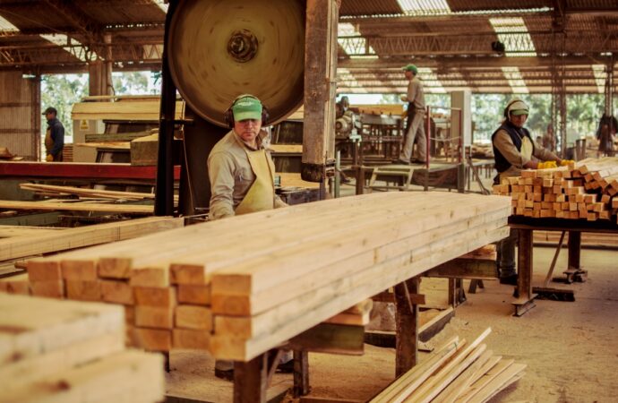 Golpe al corazón de la industria maderera: el sector opera a menos del 50% y alerta por cierres