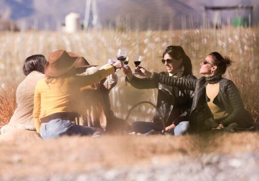 El Gobierno anunció la eliminación de trabas para la producción de vino sin alcohol