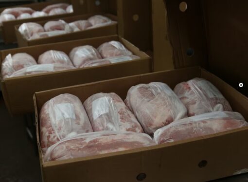Subió la producción y el consumo de carne porcina marcó el mejor febrero de la historia