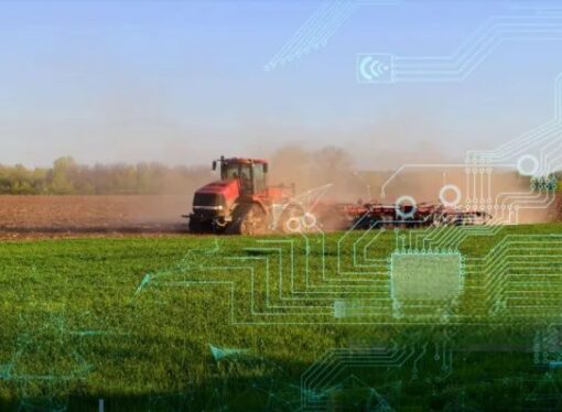 La Bolsa de Cereales suma inteligencia artificial para afinar sus estimaciones de cosecha