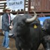 Todo lo que tenés que saber: se viene una edición histórica de la Expo Búfalos en Corrientes