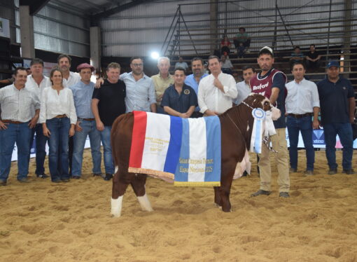 Braford brilla en Las Nacionales de Corrientes: genética de elite y futuro prometedor