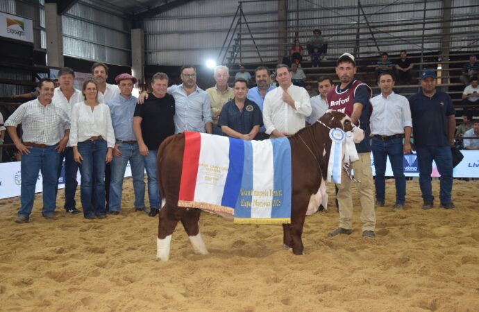 Braford brilla en Las Nacionales de Corrientes: genética de elite y futuro prometedor