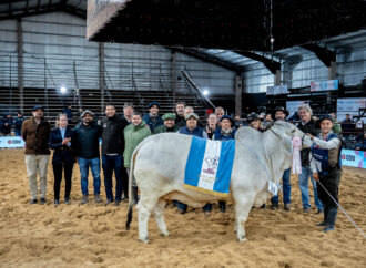 Brahman en lo más alto: jura nocturna y triunfo correntino en Las Nacionales