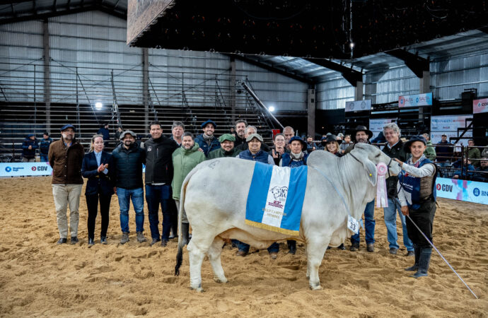 Brahman en lo más alto: jura nocturna y triunfo correntino en Las Nacionales