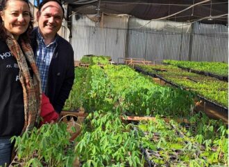 Desde la UNNe formulan propuesta de reconversión productiva que beneficiaría a pequeños productores de mandioca