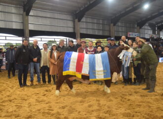 Corrientes volvió a ser epicentro de la excelencia Braford: quiénes fueron los grandes campeones