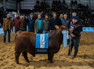 El Brangus mostró su potencial genético en Corrientes con calidad y funcionalidad en la pista