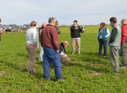 El ranking de las 20 preocupaciones de los productores agropecuarios argentinos