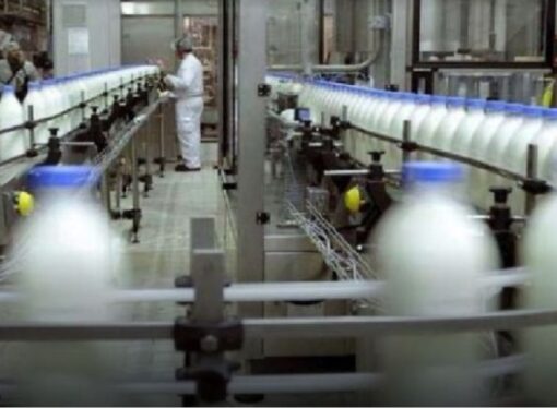 El consumo de lácteos creció 12,8% en el primer trimestre