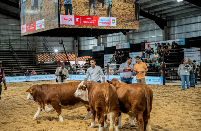 «Argentina necesita producir más y exportar carne», destacó el secretario de Ganadería de la Nación en Corrientes
