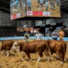 Exponenciar apuesta al norte: la Expo seguirá en Corrientes y llega al Chaco