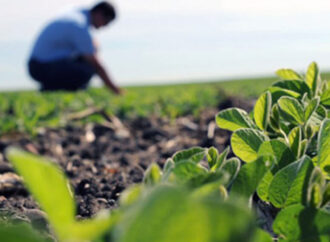 El desafío de “humanizar” la toma de decisiones a campo: “Están faltando ingenieros agrónomos”