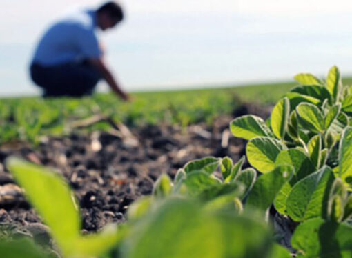 El desafío de “humanizar” la toma de decisiones a campo: “Están faltando ingenieros agrónomos”