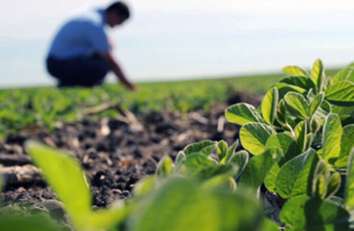 El desafío de “humanizar” la toma de decisiones a campo: “Están faltando ingenieros agrónomos”