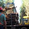 Alertan por posible cierre de aserradero