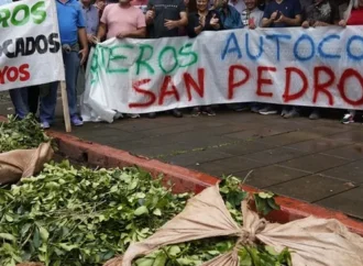 Productores yerbateros de Misiones cruzan a la industria: “Defienden un modelo depredador”