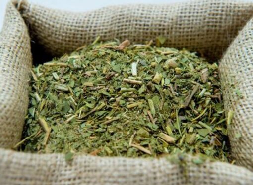 La cosecha de yerba mate cayó más del 30% en el primer trimestre del año