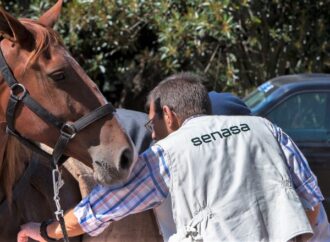 Más control para prevenir el reingreso de enfermedades animales al país