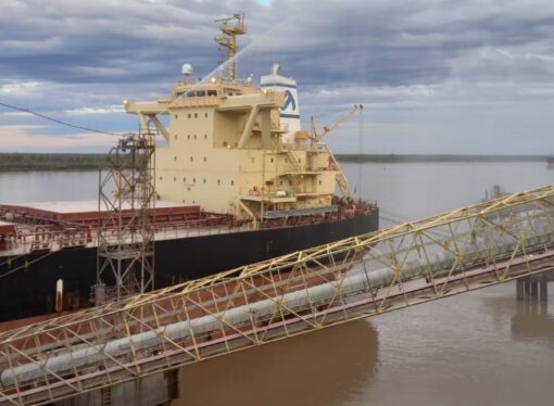 China compró por primera vez harina de soja argentina, el producto que más dólares le genera al país