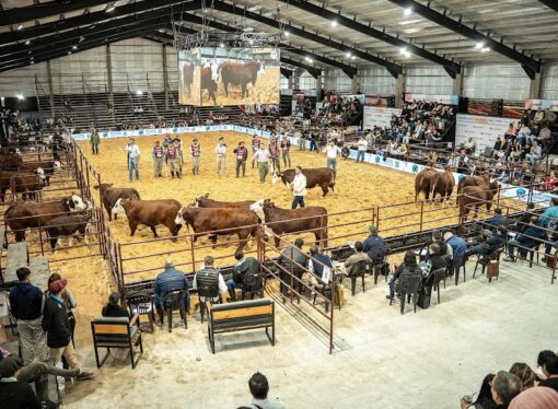 Desde Corrientes, Las Nacionales reafirmaron su lugar en el calendario ganadero argentino