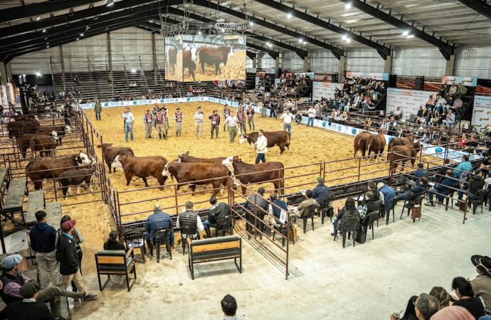Desde Corrientes, Las Nacionales reafirmaron su lugar en el calendario ganadero argentino
