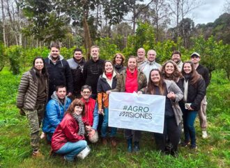 Producción orgánica en Misiones: más chacras certificadas y mayor consumo interno
