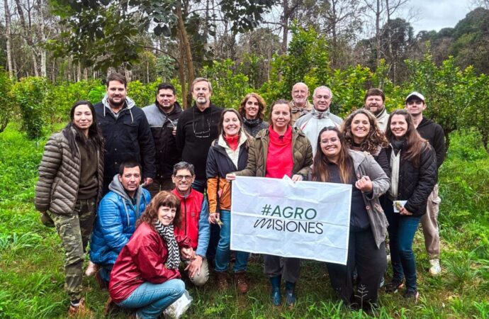 Producción orgánica en Misiones: más chacras certificadas y mayor consumo interno