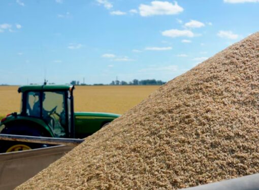 El agro argentino trabaja más para el Estado que para sí mismo: el 63,6% de la renta se va en impuestos