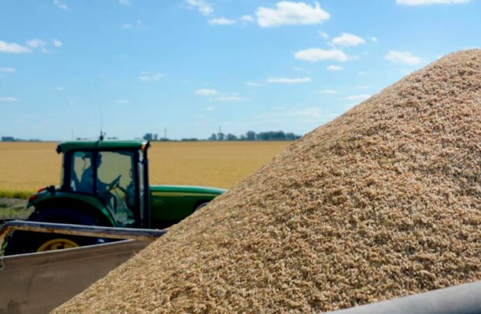 El agro argentino trabaja más para el Estado que para sí mismo: el 63,6% de la renta se va en impuestos