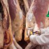 Desregulación en la carne: el Gobierno elimina el peso mínimo de faena