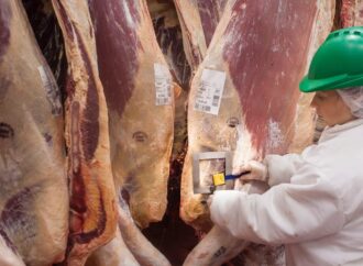 Desregulación en la carne: el Gobierno elimina el peso mínimo de faena