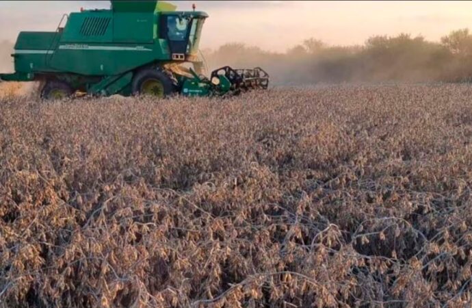¡Que caro es producir en Argentina! El campo sufre con precios más altos que en Brasil, Uruguay y EE.UU.