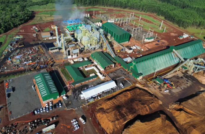 Corrientes será sede de la primera Exposición Forestoindustrial del país