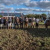 Pasión criolla: los mejores caballos del país brillaron en Corrientes
