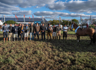 Pasión criolla: los mejores caballos del país brillaron en Corrientes