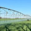 Afirman que Argentina podría triplicar potencial agrícola de la mano del riego