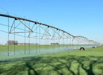 Afirman que Argentina podría triplicar potencial agrícola de la mano del riego