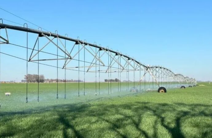 Afirman que Argentina podría triplicar potencial agrícola de la mano del riego